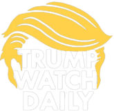 Trump Watch Daily Dad Hat preview 3