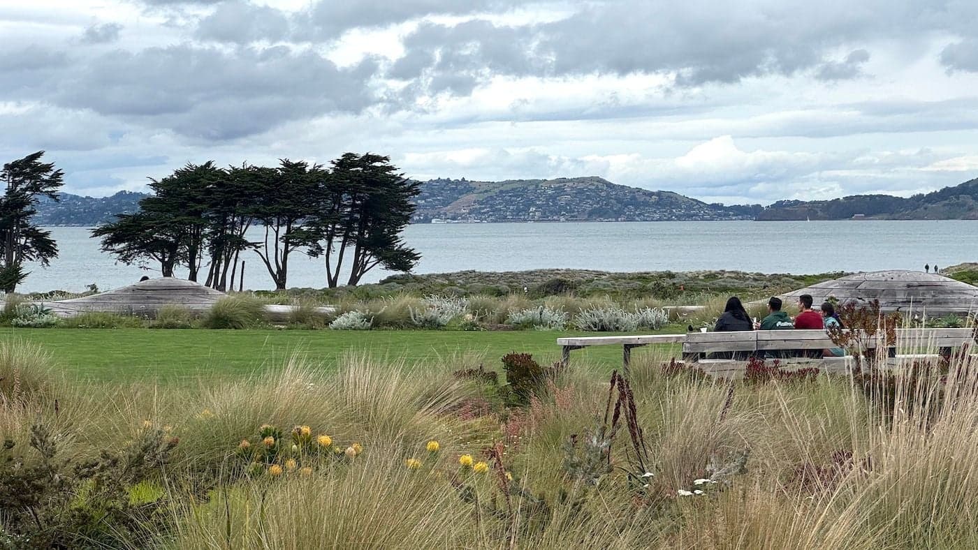 Trump Signs Executive Order to Fast-Track Psychedelic Research for PTSD and Addiction Treatment